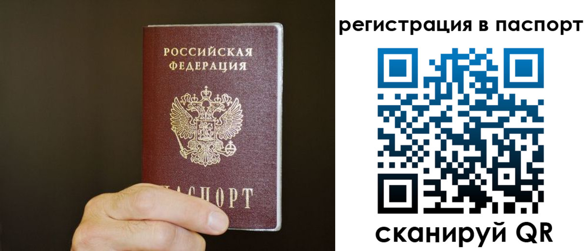 временная регистрация законно в Мончегорске